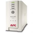 Onduleur en veille APC BK500EI 500 VA/300Watts 3 x IEC 60320 C13
