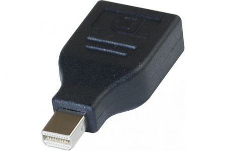 Adaptateur DisplayPort vers mini DisplayPort